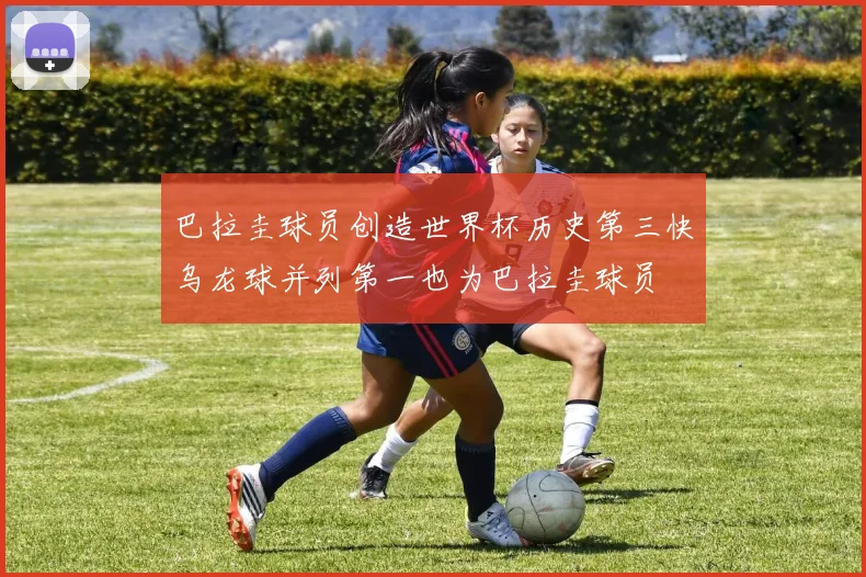 巴拉圭球员创造世界杯历史第三快乌龙球并列第一也为巴拉圭球员