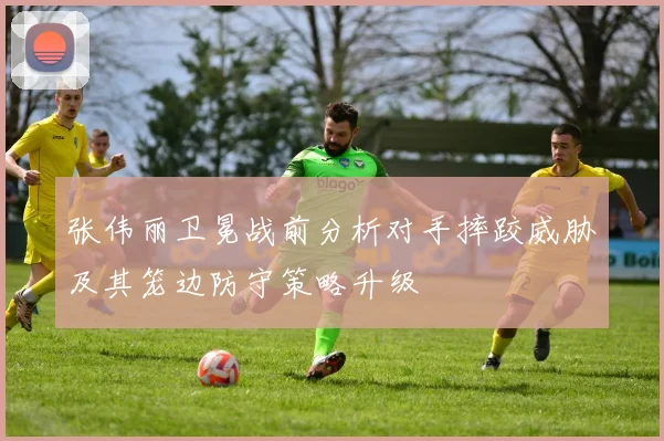 张伟丽卫冕战前分析对手摔跤威胁及其笼边防守策略升级